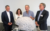 Dr. Martin Cepek, Dr. Astrid Proksch, Karl-Heinz Körbel und Prof. David Poeppel, PhD, mit dem 1:10 Modell des "Begehbaren Gehirns". Copyright: Senckenberg/Neunzehn