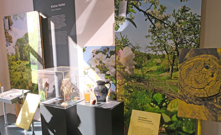 Kleine Helfer - Steuobstwiesen. © Foto Diether von Goddenthow