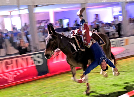 In der Wiesbadener Pferdenacht 2023 Stunt Show der Future-Gays (c) Diether von Goddenthow